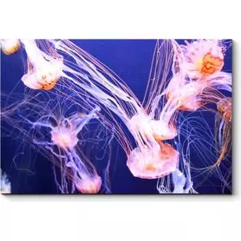 Картина Picsis 4917-10931526