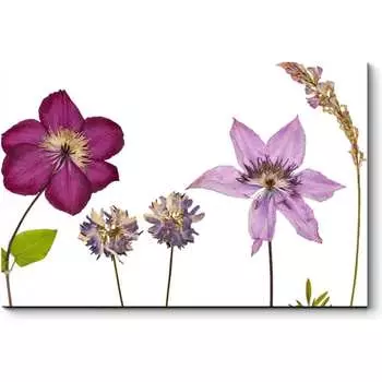 Картина Picsis 2825-10797503