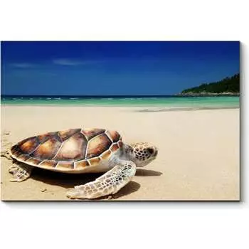 Картина Picsis 4747-10726304