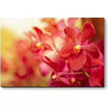 Картина Picsis 646-9924929