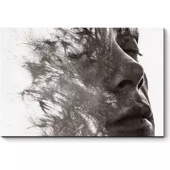 Картина Picsis 3858-10131345