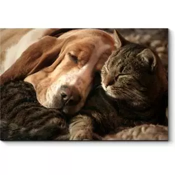 Картина Picsis 3644-10068011