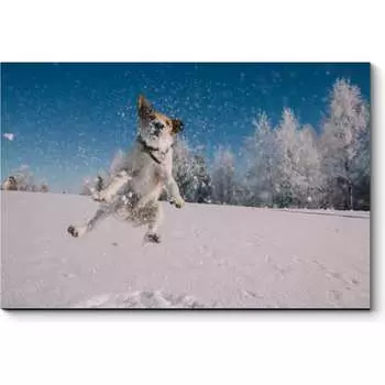 Картина Picsis 3692-10088877