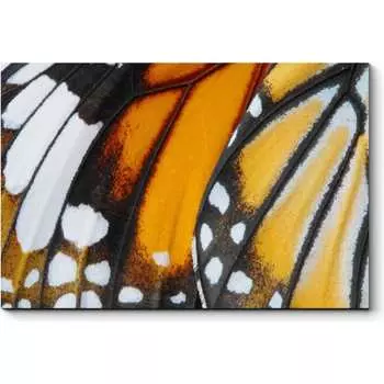 Картина Picsis 893-10449505