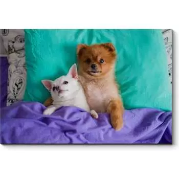 Картина Picsis 3676-10084979