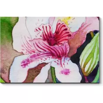 Картина Picsis 704-10414335