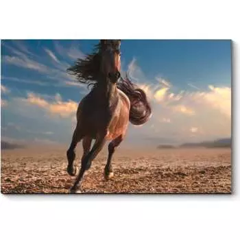 Картина Picsis 4966-10764438