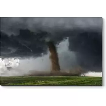 Картина Picsis 3395-9943293