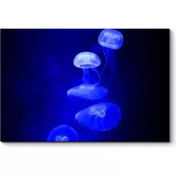 Картина Picsis 1230-10054925