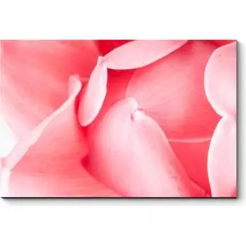 Картина Picsis 2396-9895461