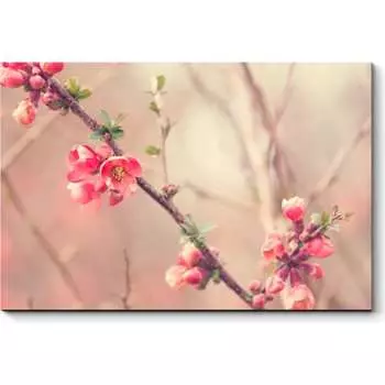 Картина Picsis 2831-10798572