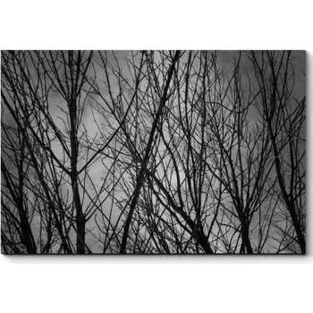 Картина Picsis 2580-10772129