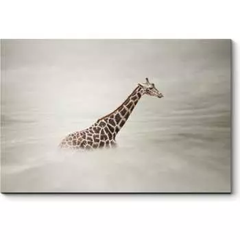 Картина Picsis 4995-10938852