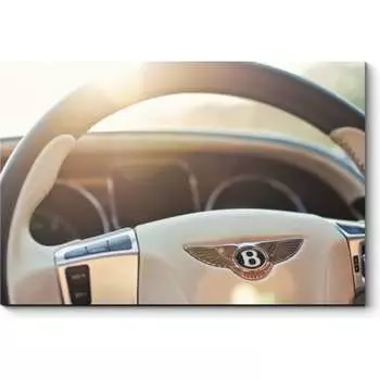 Картина Picsis 4915-10931099