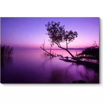 Картина Picsis 3097-10352494