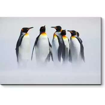 Картина Picsis 2189-10059892