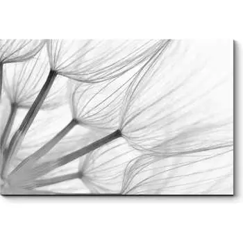 Картина Picsis 2531-10476970