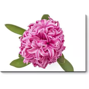 Картина Picsis 652-9926843