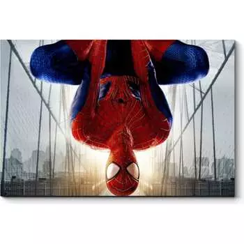 Картина Picsis 1650-10139936