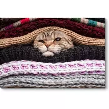 Картина Picsis 3642-10067763