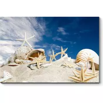 Картина Picsis 1320-9869543