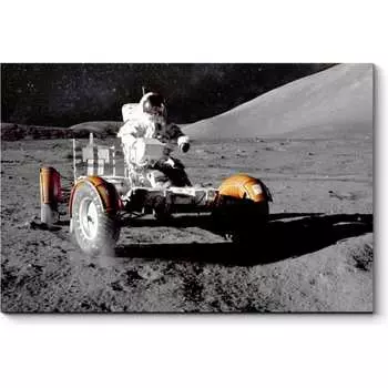 Картина Picsis 2743-10780961