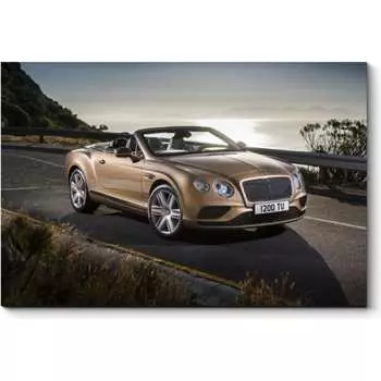 Картина Picsis 1536-9785900