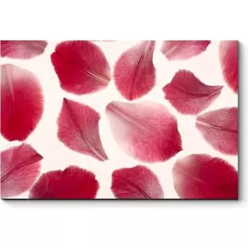 Картина Picsis 2391-10717072