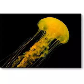 Картина Picsis 4918-10931880