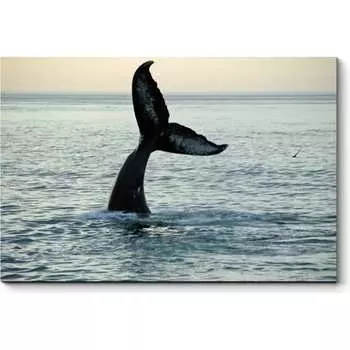 Картина Picsis 943-10481275