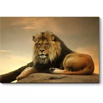 Картина Picsis 830-10124372