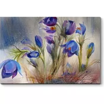 Картина Picsis 685-10400710