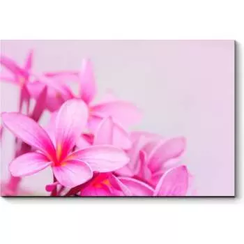 Картина Picsis 2840-10304478