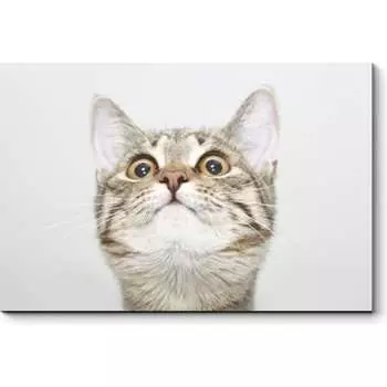 Картина Picsis 3645-10068349