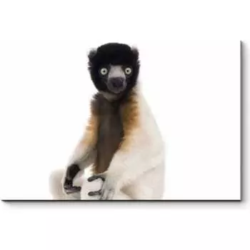 Картина Picsis 4770-10490239