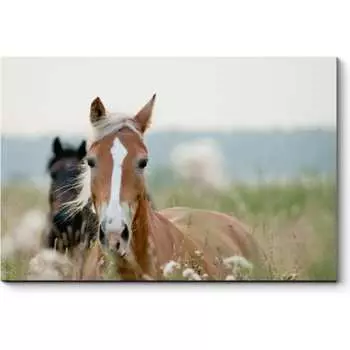 Картина Picsis 4967-10764585