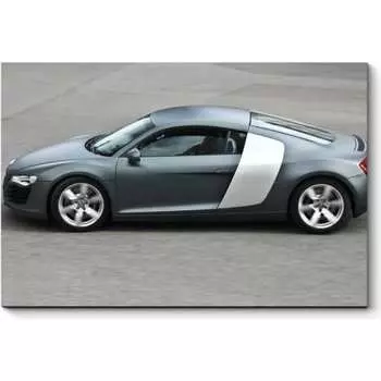 Картина Picsis 5355-10751586