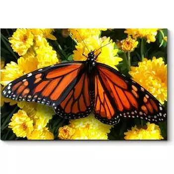 Картина Picsis 1389-10430434