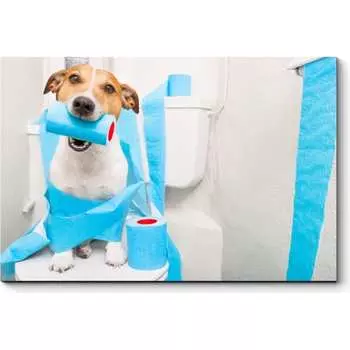 Картина Picsis 3681-10085739