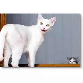 Картина Picsis 3656-10461080