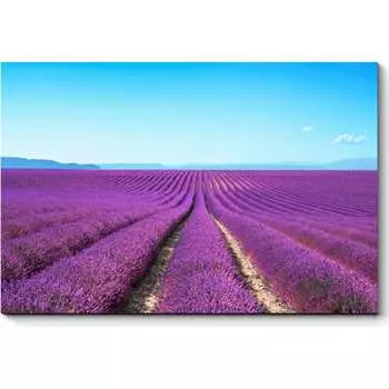 Картина Picsis 4582-10897917