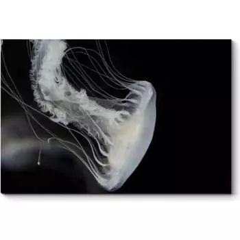 Картина Picsis 4925-12593351