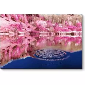 Картина Picsis 4616-9981072