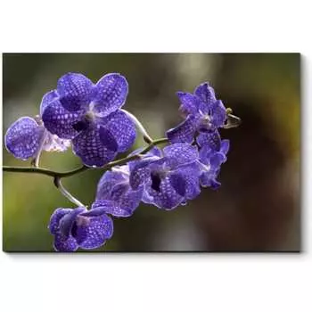 Картина Picsis 637-10375555