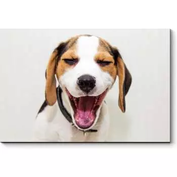 Картина Picsis 3703-10091457