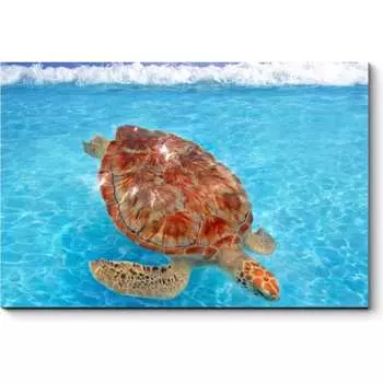 Картина Picsis 4748-10726536