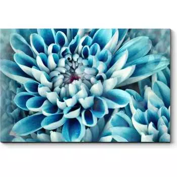 Картина Picsis 2442-10183877