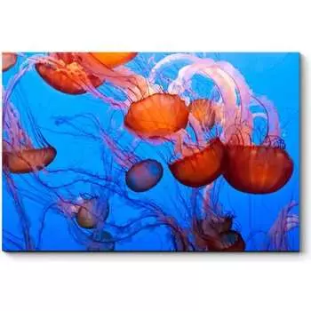 Картина Picsis 1231-10055204