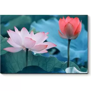 Картина Picsis 4558-10030326