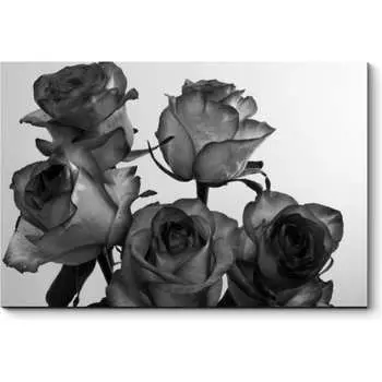 Картина Picsis 2591-10499574